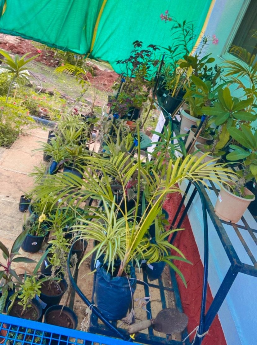 Outdoor Mini Garden